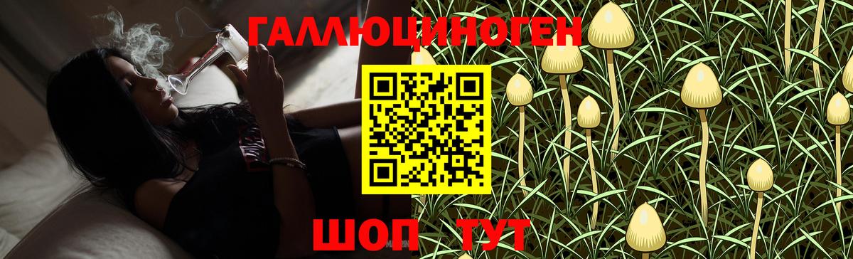 Томск  Псилоцибиновые грибы Psilocybine cubensis  Вход с VPN 
